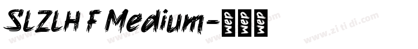 SLZLH F Medium字体转换